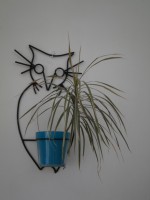 Macetero pared Búho