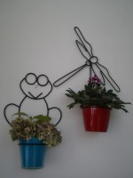 Maceteros Sapo,Libélula